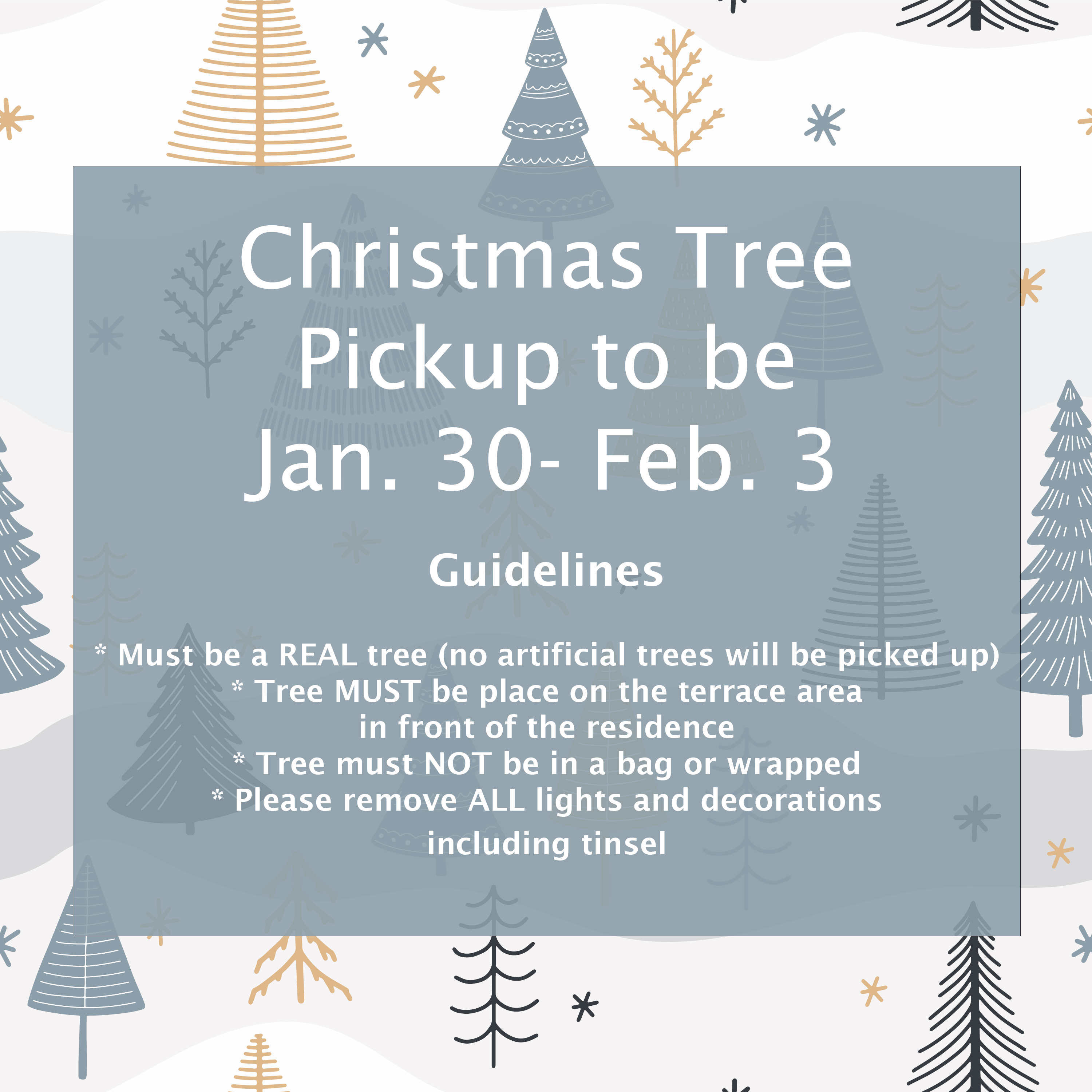 Christmas tree pickup1